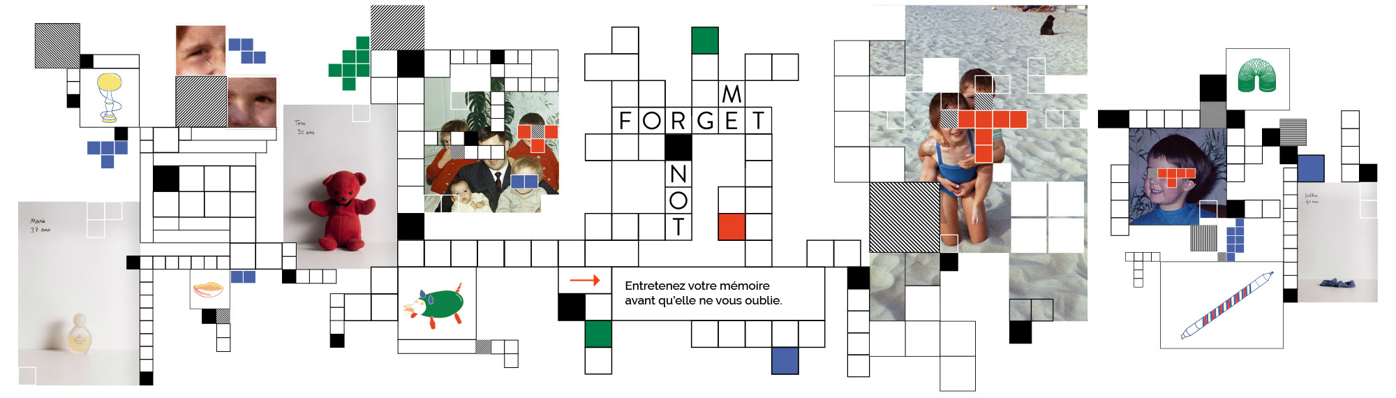 Illustration Forget me not