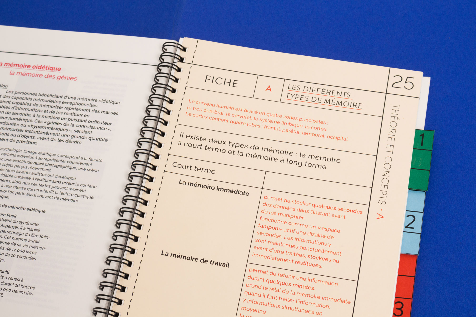 Illustration Forget me not