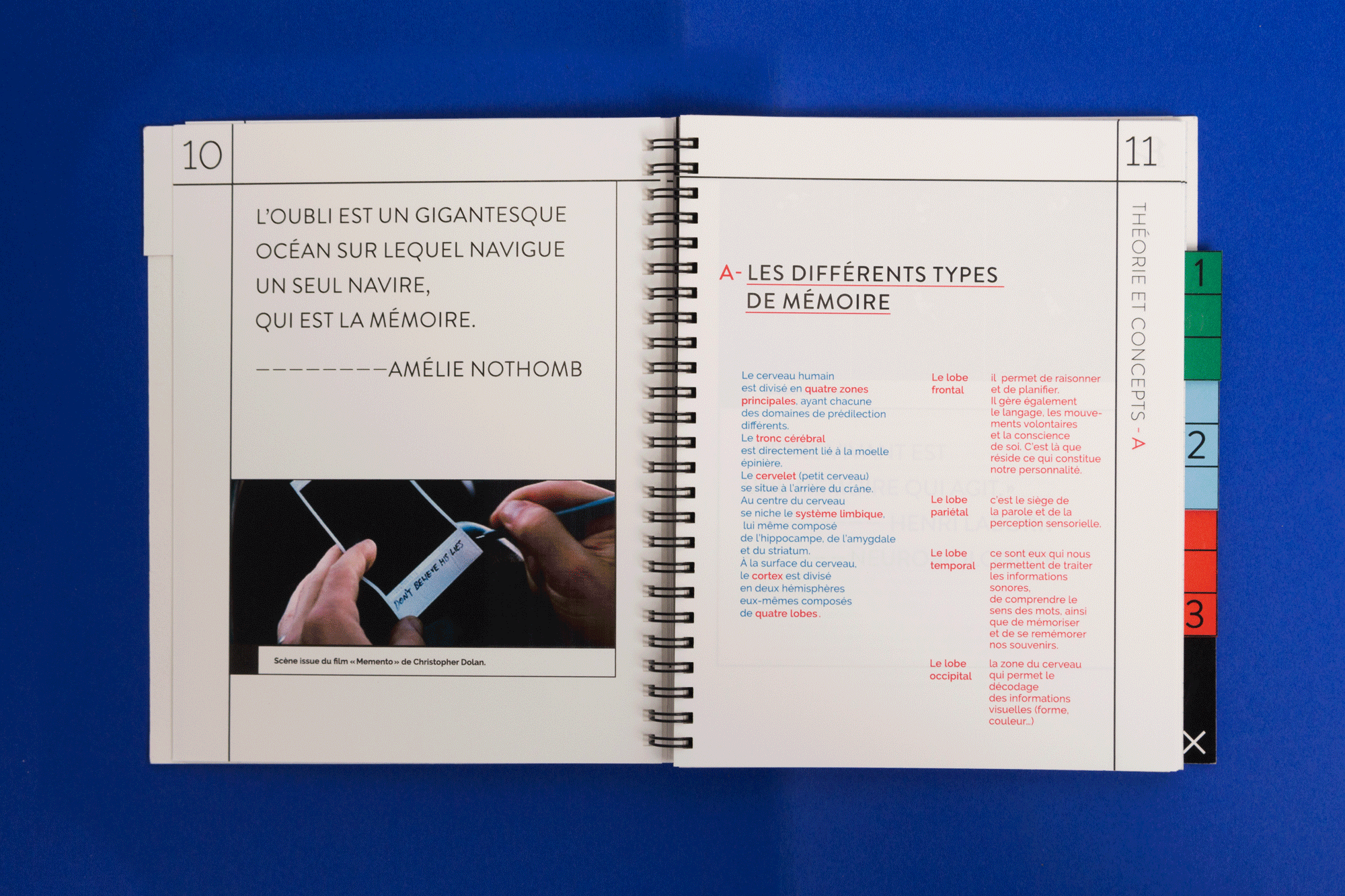 Illustration Forget me not