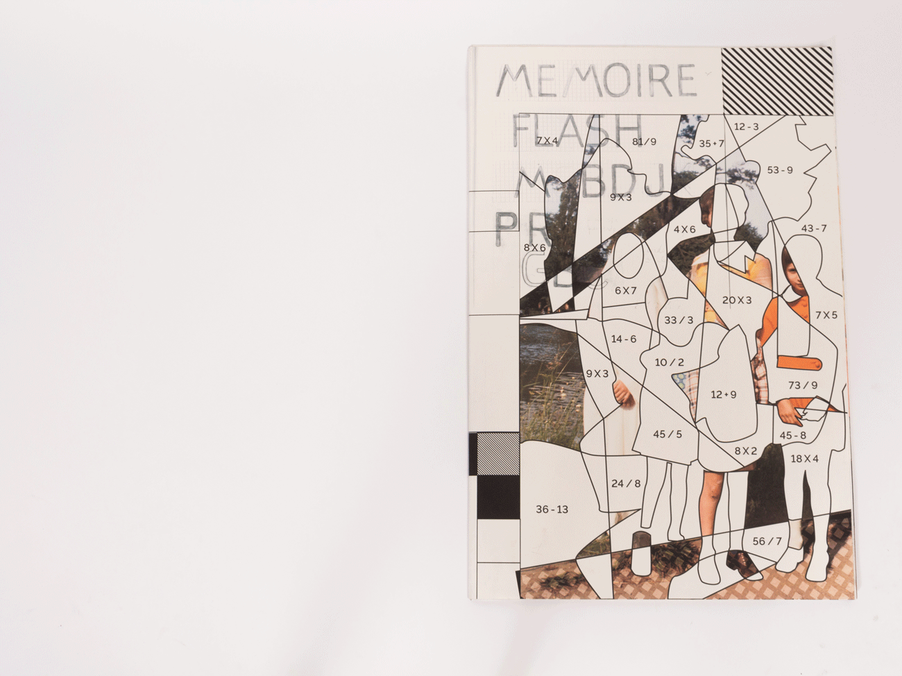 Illustration Forget me not