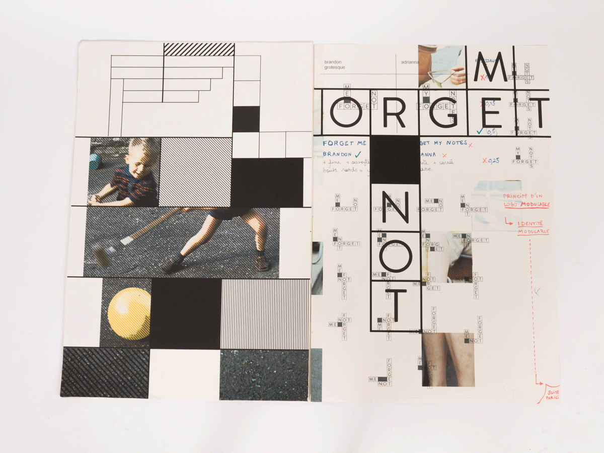 Illustration Forget me not