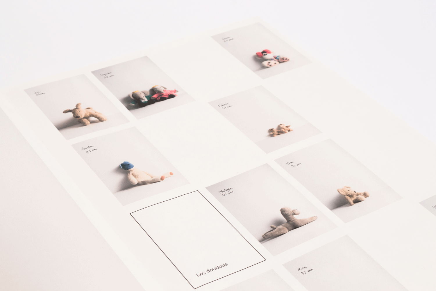 Illustration Forget me not